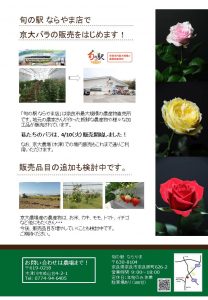 チラシ案